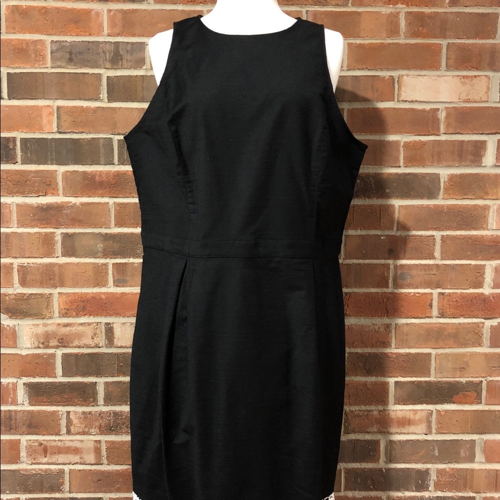 NWT Ann Taylor Women’s Cotton Black Dress Sz 16T